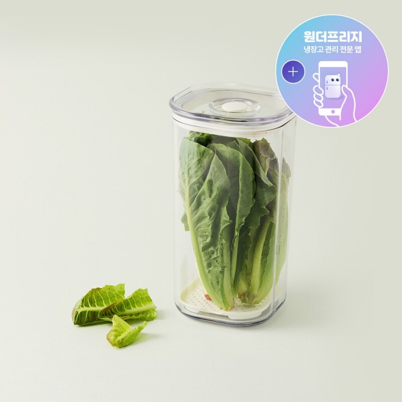 프레쉬 마에스트로 진공용기 1.65L 정사각