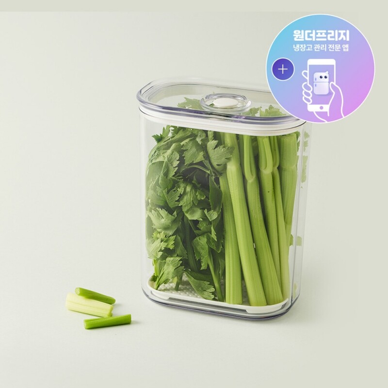 프레쉬 마에스트로 진공용기 2.6L 직사각